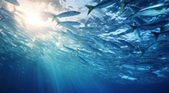 filbec - Mezinárodní den světových oceánů 2024